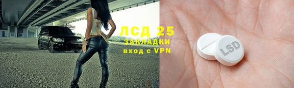 индика Горняк