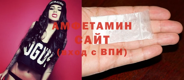 индика Горняк