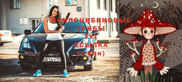 стаф Горно-Алтайск