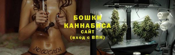 индика Горняк