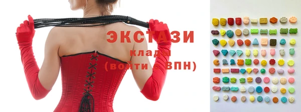 индика Горняк