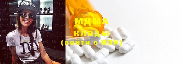 индика Горняк