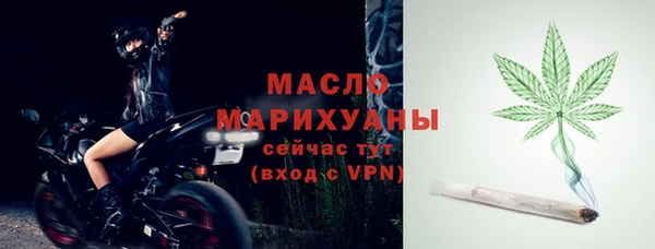 индика Горняк