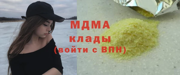 индика Горняк