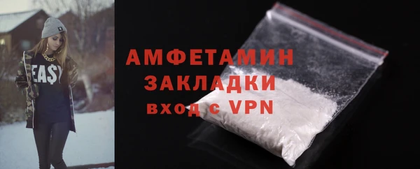 индика Горняк