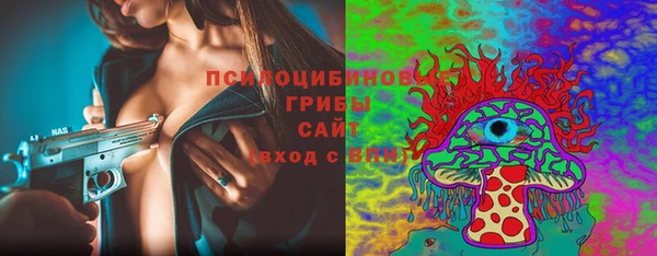 стаф Горно-Алтайск