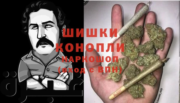 ПСИЛОЦИБИНОВЫЕ ГРИБЫ Горнозаводск