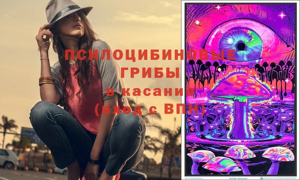 стаф Горно-Алтайск